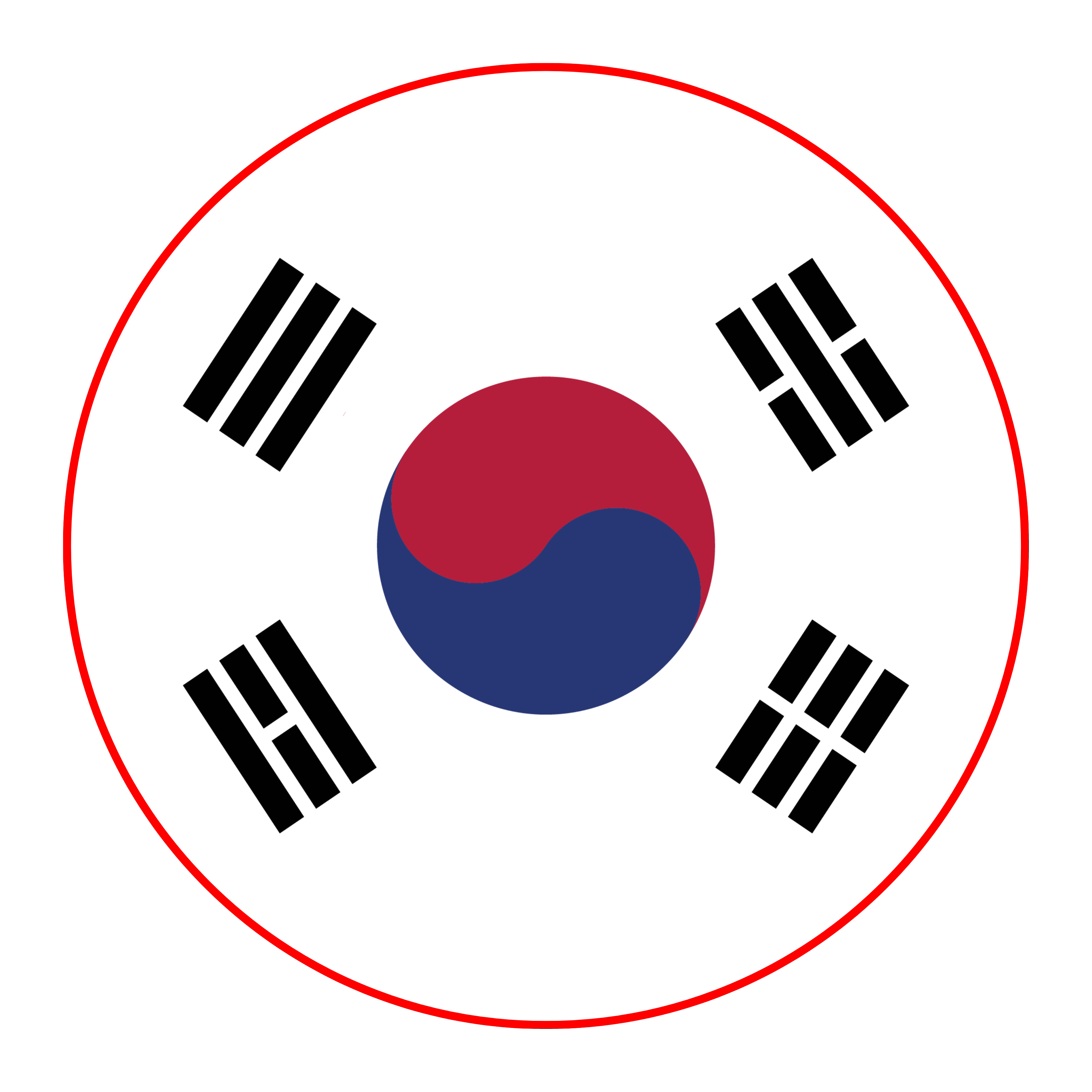 Study in South Korea Flag