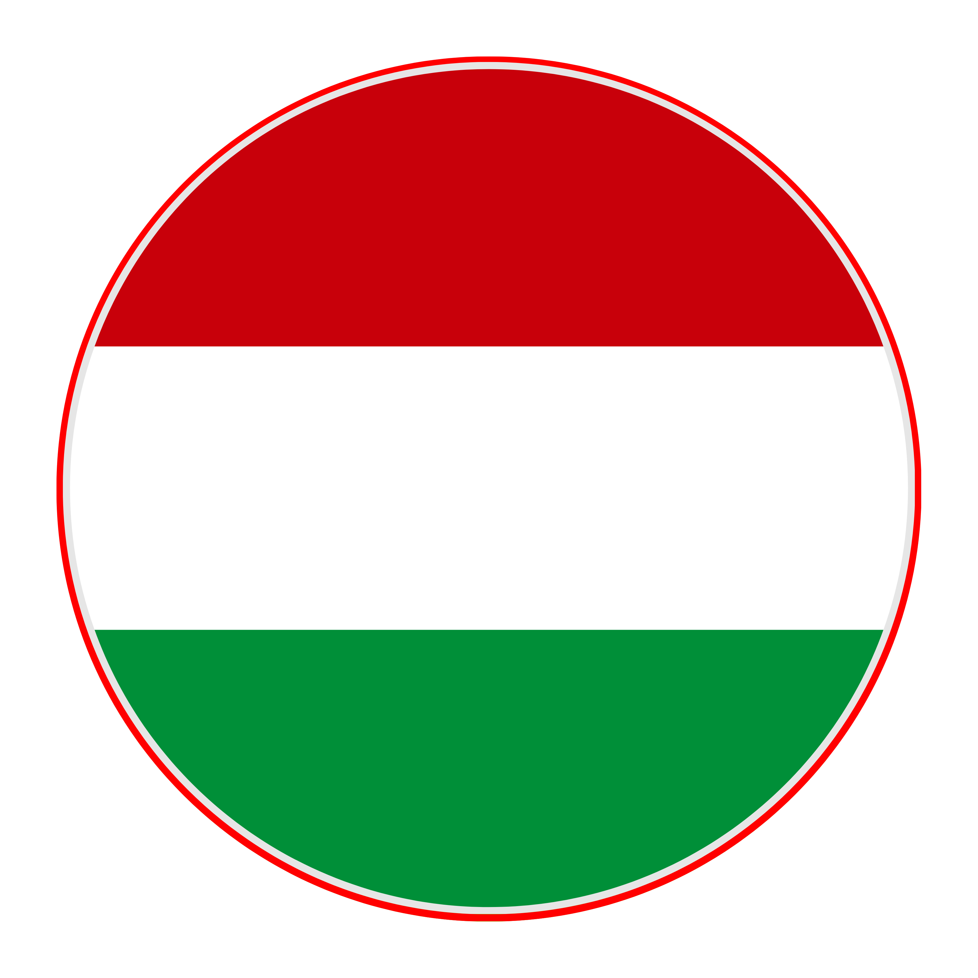 Study in Hungary Flag